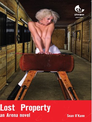 Lost Property - ebook